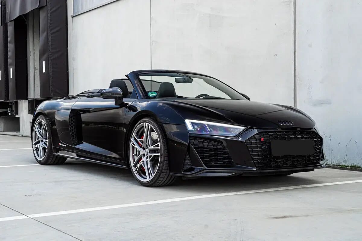 R8-spider-2019-5