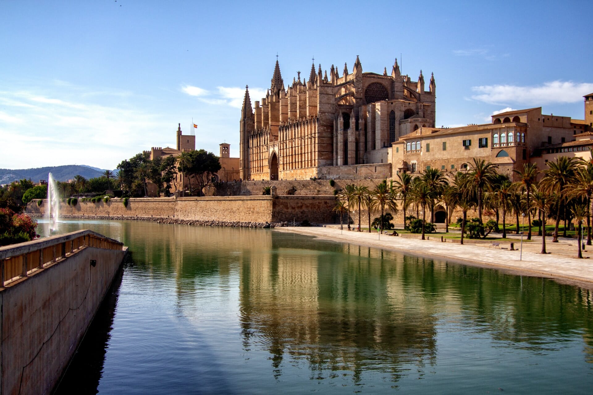 palma-3